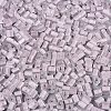 FGB Grade A Frosted Glass Seed Beads SEED-Q040-04A-04-4