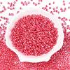 6/0 Transparent Inside Colours Glass Seed Round Beads SEED-N006-004M-2