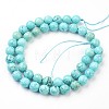 Synthetic Turquoise Bead Strands G-J376-71B-8mm-05-2