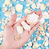 Natural Sea Shell Beads Kits SSHEL-PH0002-49-6