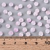 Frosted Glass Seed Beads SEED-N012-01I-4