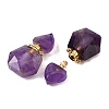 Natural Amethyst Perfume Bottle Pendants G-L623-12G-03-2