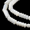Natural Trochus Shell Beads Strands BSHE-Z003-17-3