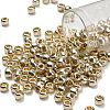 TOHO 3/0 Round Beads SEED-TR03-PF0558-1
