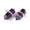 Natural Amethyst Double Terminal Pointed Pendants G-N345-09D-2
