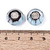 Handmade Lampwork & Brass Core European Beads LS-LAMP-N044-01S-02-4