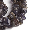 Natural Iolite Beads Strands G-D0002-C48-3