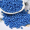 6/0 Opaque Baking Paint Glass Seed Beads X1-SEED-M012-02A-03-1