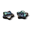 Natural Abalone Shell/Paua Shell Beads SHEL-B003-06-2