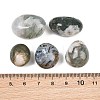 Natural Moss Agate Beads GG-CBAD0F6-A17-01-2