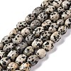 Natural Dalmatian Jasper Beads Strands G-G146-A24-01-1