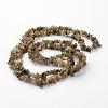Natural Labradorite Chips Beads Strands X-F069-4