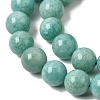 Natural Amazonite Bead Strands G-P204-02-10mm-5