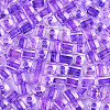 Transparent Inside Colours Glass Seed Beads SEED-T007-11B-2