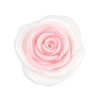 Opaque Resin Cabochons CRES-D283-01F-2