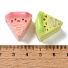 Opaque Resin Imitation Food Decoden Cabochons CRES-Z006-06-3