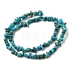 Natural HuBei Turquoise Bead Strands G-H345-A01-06-3