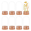 Transparent Glass Dome Jar Cloche Display Cases AJEW-WH0329-72A-1