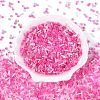Glass Seed Beads & Bugle Beads SEED-Q041-04B-2