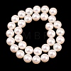 Electroplated Shell Pearl Beads Strands BSHE-C011-01D-2
