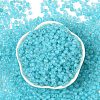 6/0 Luminous Glass Seed Beads X1-SEED-NH0001-01N-3