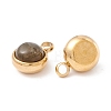 Natural Labradorite Charms G-K325-01G-04-2