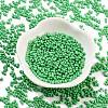 Baking Paint Glass Seed Beads SEED-A033-05Q-2