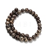 Natural Astroite Jasper Beads Strands G-H329-C02-10mm-3