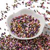 Baking Paint Glass Seed Beads SEED-S042-05A-13-2