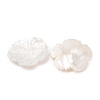 Natural White Shell Carved Cabochons SHEL-G024-05-2