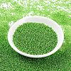 MIYUKI Round Rocailles Beads X-SEED-G007-RR2423-2