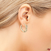 3 Pairs 3 Style Crystal Rhinestone Star Hoop Earrings EJEW-AN0001-96-4