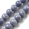 Synthetic Blue Lace Agate Beads Strands G-B071-F02-02-1