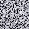 FGB Baking Paint Glass Seed Beads SEED-Q040-09A-17-3