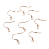 304 Stainless Steel Earring Hooks STAS-E484-55RG-1