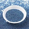 MIYUKI Round Rocailles Beads X-SEED-G007-RR1025-2
