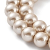 Eco-Friendly  Dyed Glass Pearl Round Bead Strands X-HY-A002-8mm-RB021-2