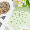 800Pcs 2 Colors 304 Stainless Steel Spacer Beads STAS-BBC0009-75B-4