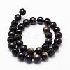 Natural Golden Sheen Obsidian Beads Strands G-D838-8mm-05-2