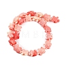 Synthetic Shell Dyed Carved Beads Strands SHEL-C008-02-2