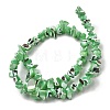 Natural Trochid Shell/Trochus Shell Beads Strands SHEL-B003-02D-2