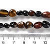 Natural Tiger Eye Beads Strands G-P497-01C-24-5