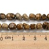 Natural Picture Jasper Bead Strands G-F465-56-5