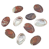 Natural Paua Shell Display Decorations DJEW-WH0042-148A-1