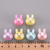 1-Hole Acrylic Shank Buttons BUTT-S027-01D-4