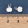 Teachers' Day 925 Sterling Silver Charms STER-A050-03B-S-3