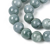 Natural Jadeite Beads Strands G-N353-07D-01-4