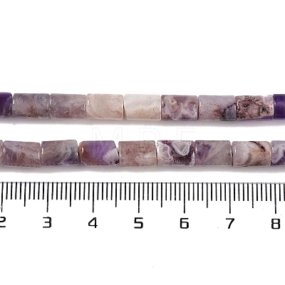 Natural Amethyst Beads Strands G-C128-A02-01-1