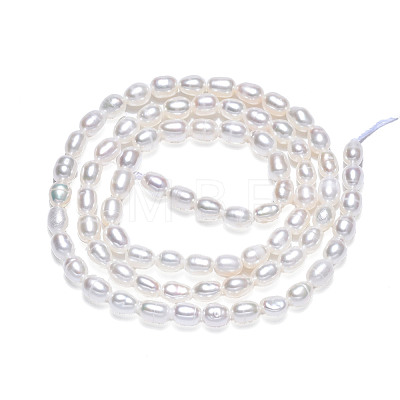 Natural Cultured Freshwater Pearl Beads Strands PEAR-N012-03F-1