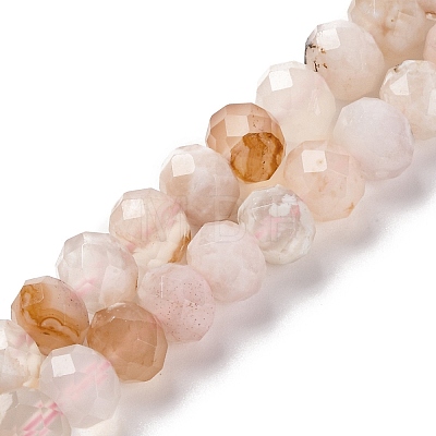 Natural Cherry Blossom Agate Beads Strands G-K380-A43-03-1